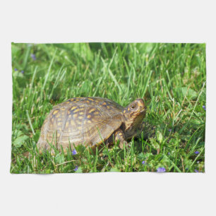 Box Turtle  Tea Towel