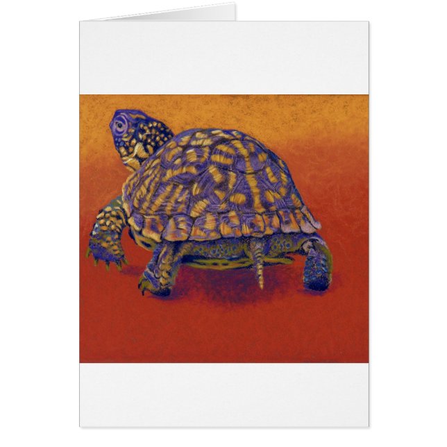 Box Turtle, tortoise (Front)