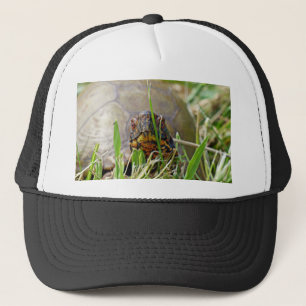 Box Turtle Trucker Hat