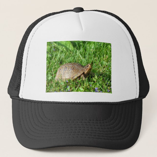 Box Turtle Trucker Hat (Front)