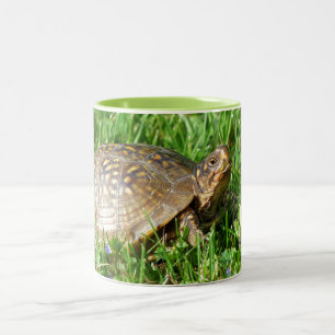 Box Turtle Two-Tone Coffee Mug