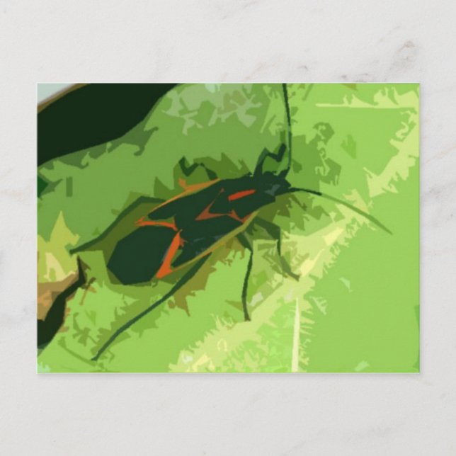 Boxelder Bug Postcard (Front)