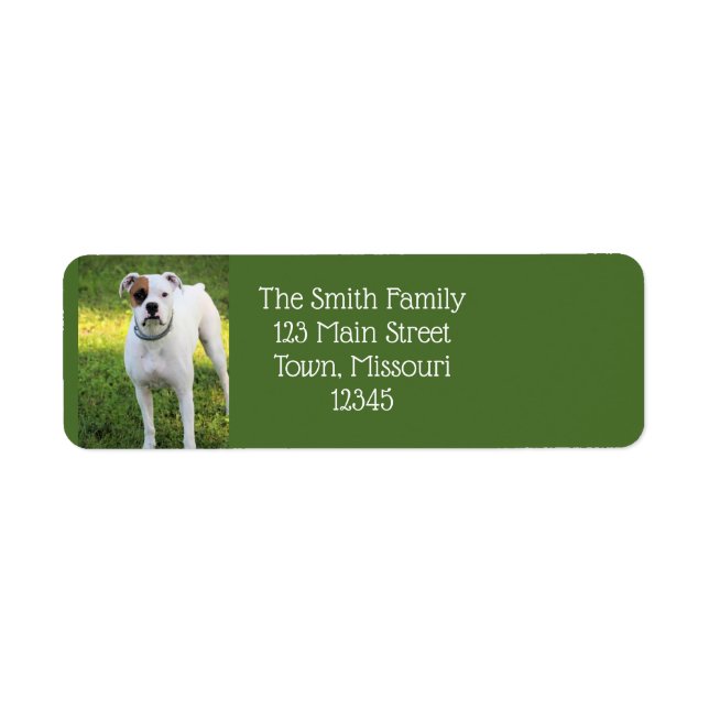 Boxer (Front)