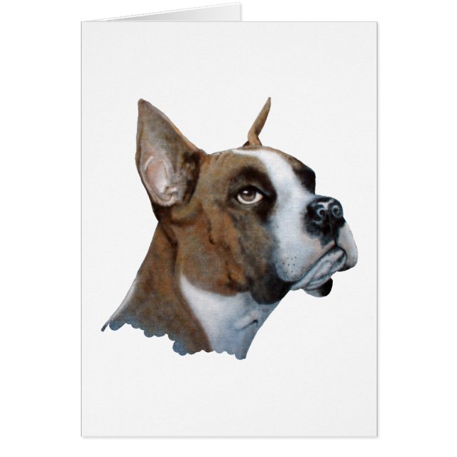 Boxer (Front)