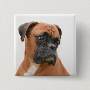 boxer 15 cm square badge