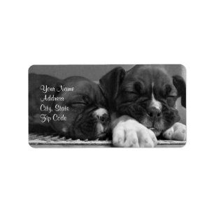 Boxer Address labels