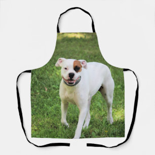 Boxer Apron