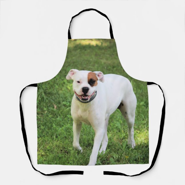 Boxer Apron (Front)