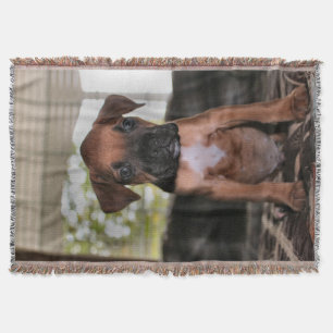Boxer Baby Throw Blanket
