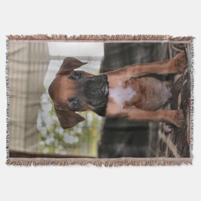 Boxer Baby Throw Blanket (Front)