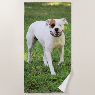 Boxer beach towel