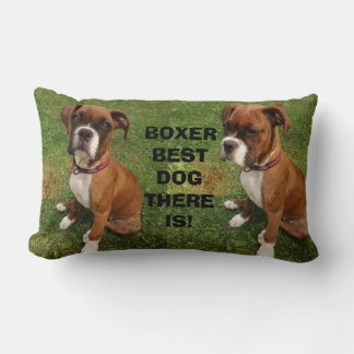 BOXER BEST DOG THERE IS pillow