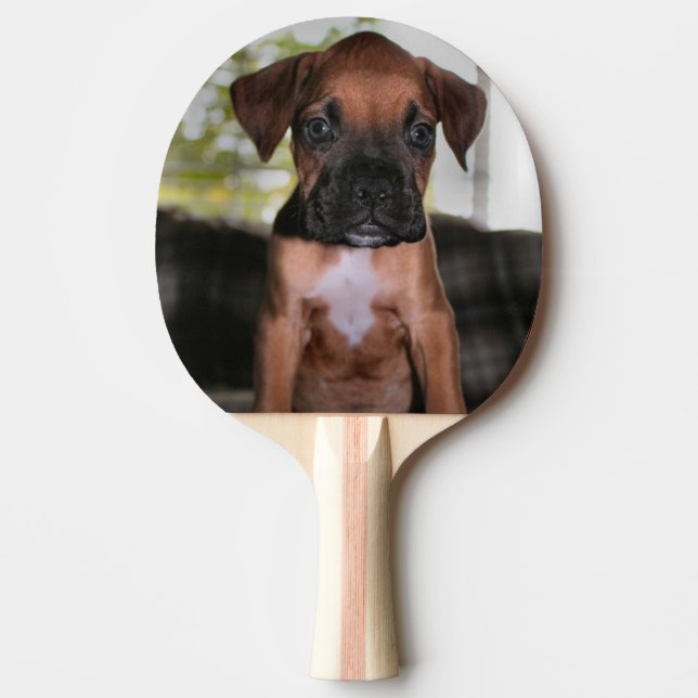 Boxer Bqby  Ping Pong Paddle (Front)