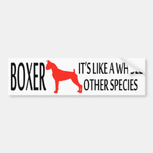 Boxer Bumper Sticker