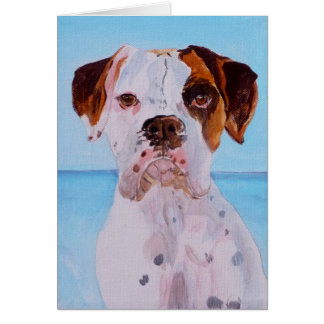 Boxer by the Sea