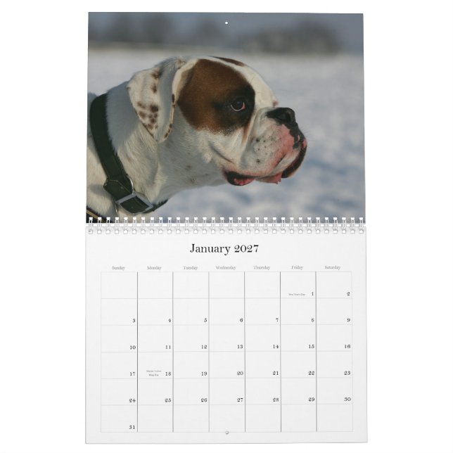 Boxer Calendar (Jan 2027)