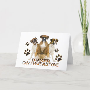 Boxer Can't Have Just One Cards