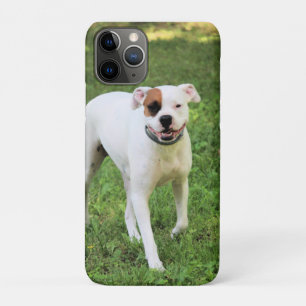 Boxer Case-Mate iPhone case