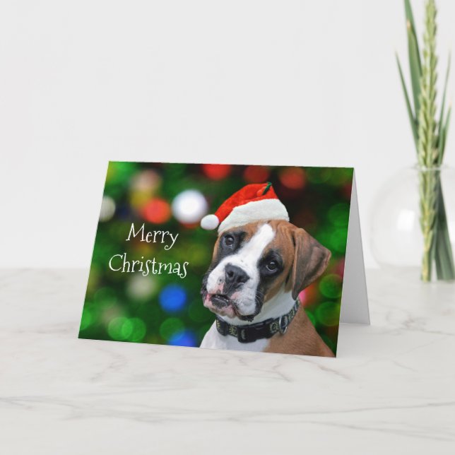 Boxer Christmas Holiday Card (Front)