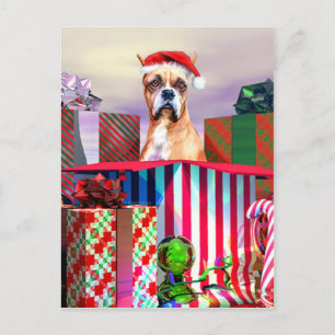 Boxer Christmas Surprise Holiday Postcard