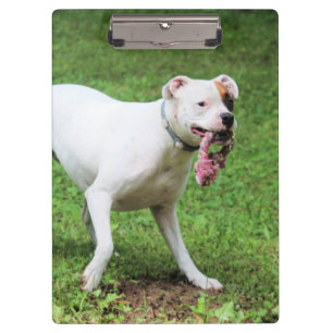 Boxer clipboard