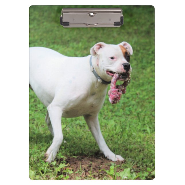 Boxer  clipboard (Front)