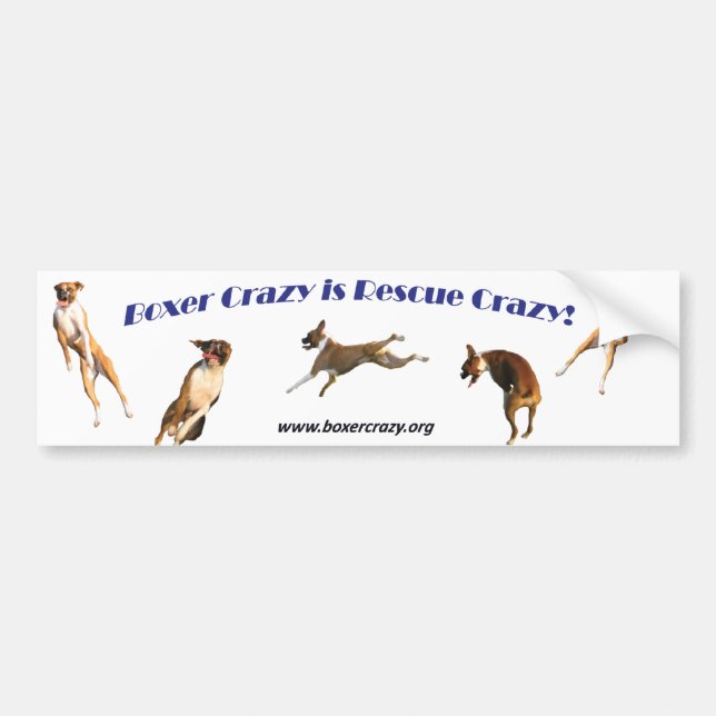 Boxer Crazy Bumpersticker - Air Abby Bumper Sticker (Front)