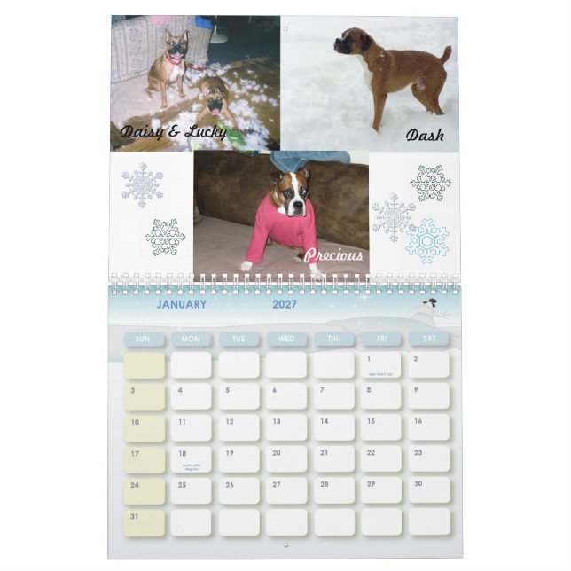 Boxer Crazy Calendar 2011 (Jan 2027)