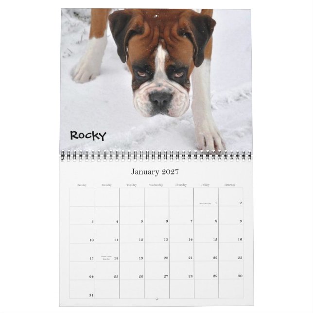 Boxer Crazy Calendar 2012 (Jan 2027)