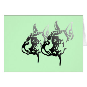 Boxer croped Head