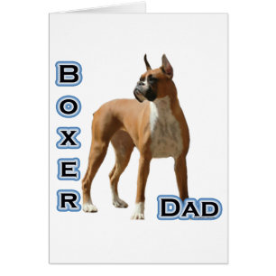 Boxer Dad 4