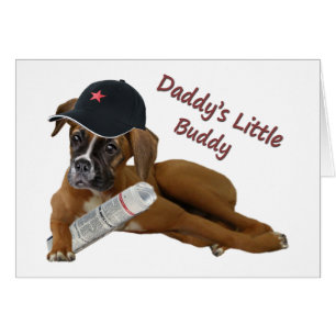 Boxer "Daddy's Buddy"