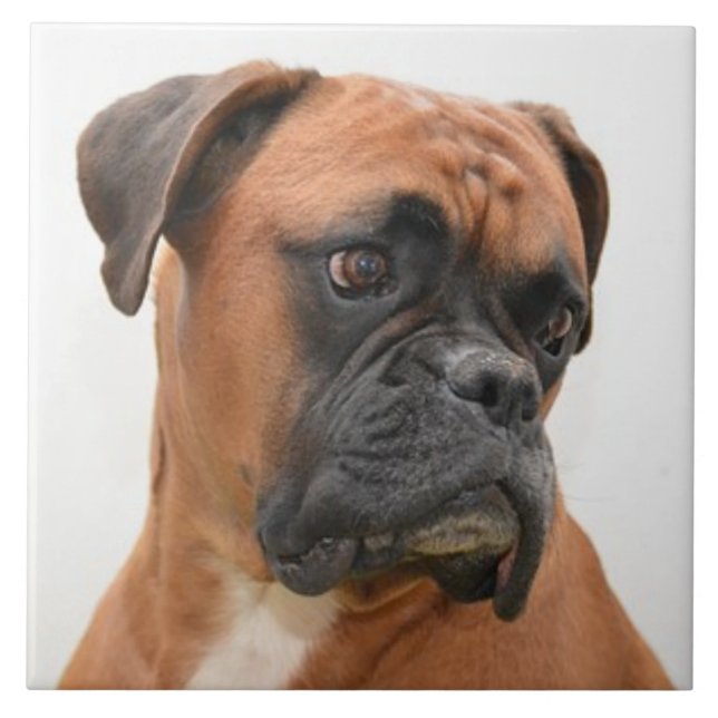 BOXER DOG 3, Pet Love, Best Friend KEEPSAKE Tile (Front)