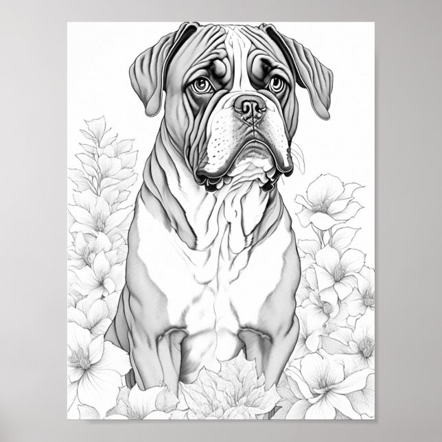 Boxer Dog Adult Colouring Poster (Front)