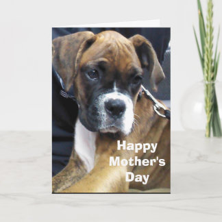 BOXER DOG CARD
