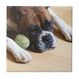 boxer dog Ceramic Tile