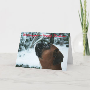 boxer Dog Christmas Card
