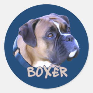 Boxer Dog Classic Round Sticker