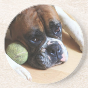 Boxer dog coaster