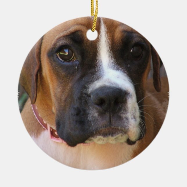 Boxer Dog Design Ornament (Front)