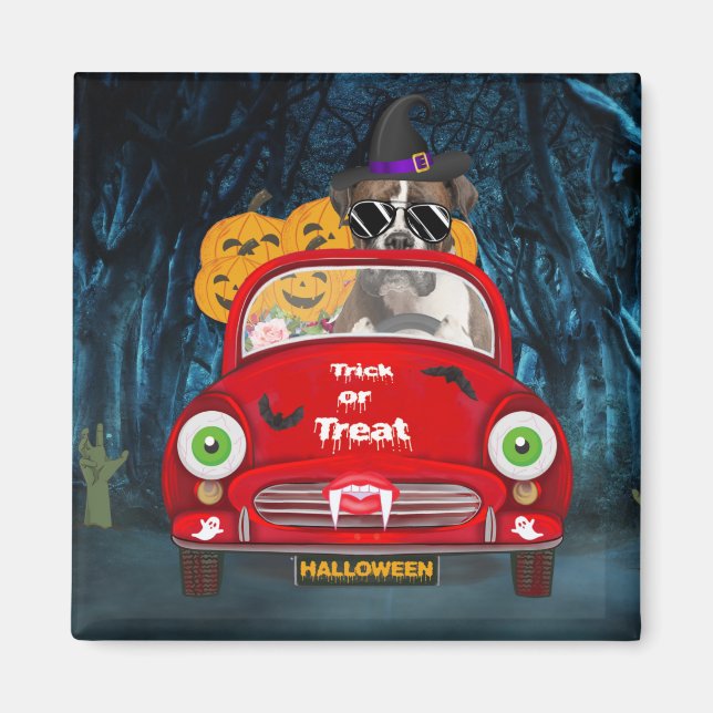 Boxer Dog Driving Car Scary Halloween Magnet (Front)