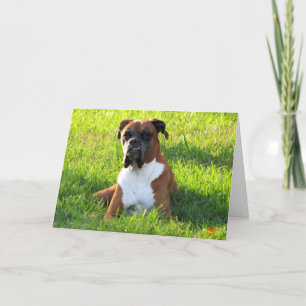 Boxer Dog Greeting Card