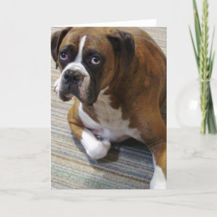 Boxer Dog Greeting Card