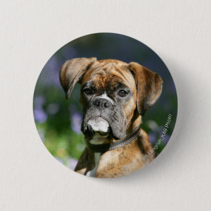 Boxer Dog Headshot 6 Cm Round Badge