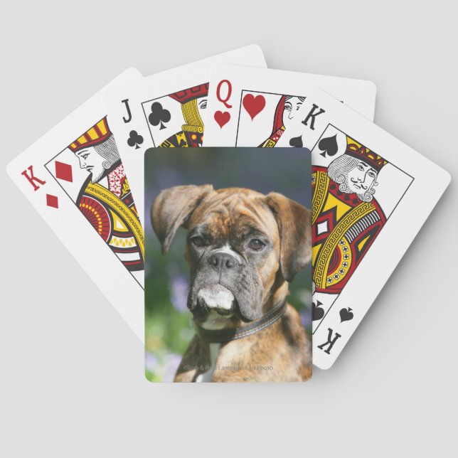 Boxer Dog Headshot Playing Cards (Back)