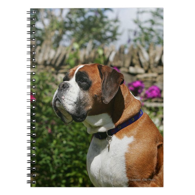 Boxer Dog in the Flowers Spiral Notebook (Front)