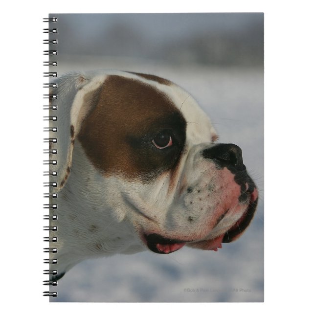 Boxer Dog in the Snow Notebook (Front)