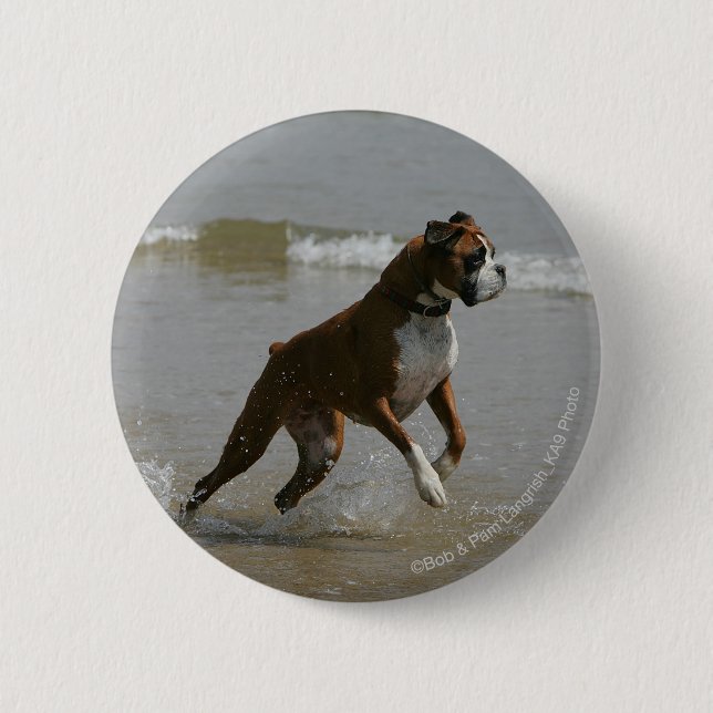 Boxer Dog in Water 6 Cm Round Badge (Front)