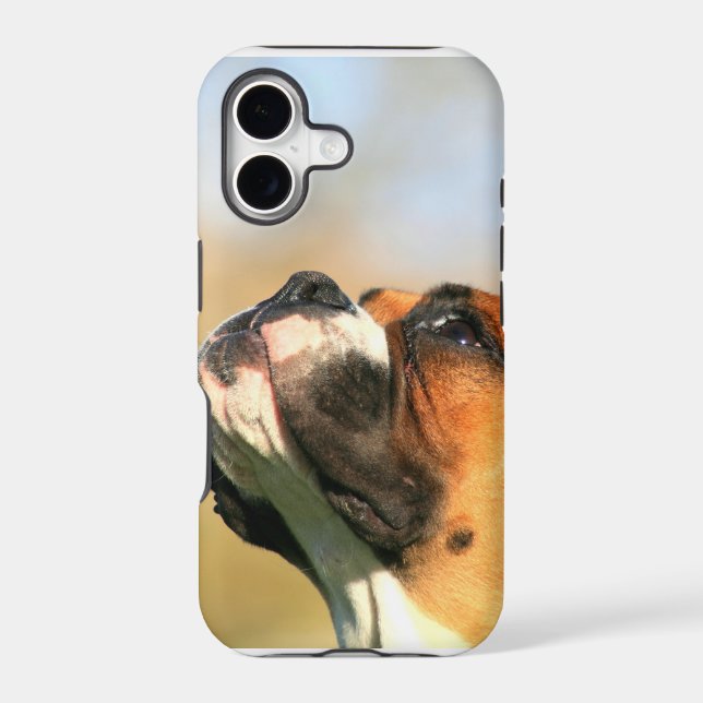 Boxer dog iPhone 5 Barely There Universal Case (Back)