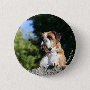 Boxer Dog Laying on a Rock 6 Cm Round Badge